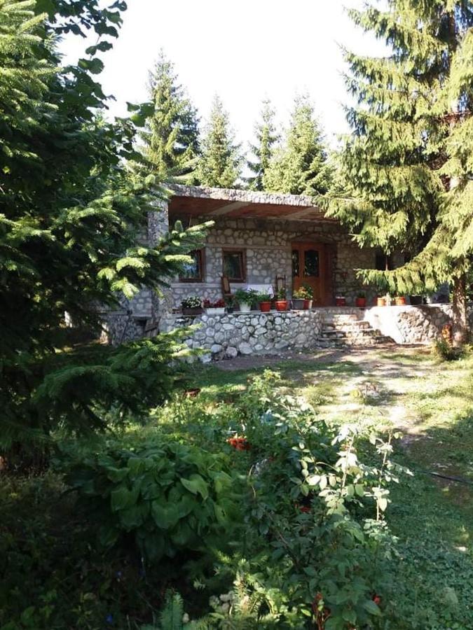 Guest House Hyrmet Demushi Valbone Exterior foto