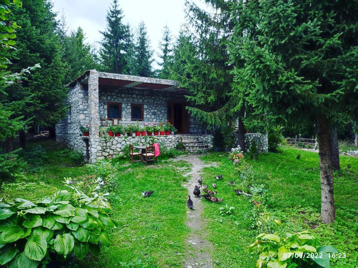 Guest House Hyrmet Demushi Valbone Exterior foto