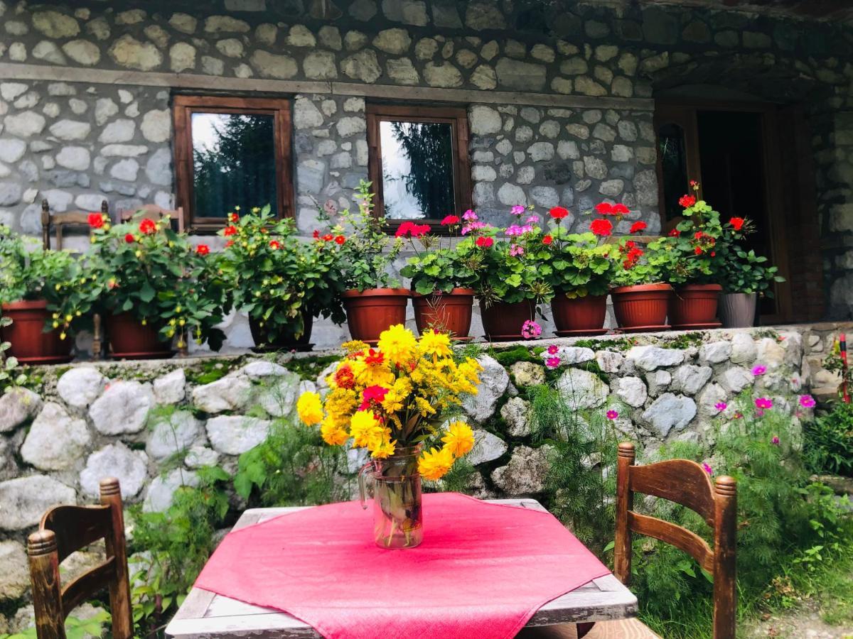 Guest House Hyrmet Demushi Valbone Exterior foto