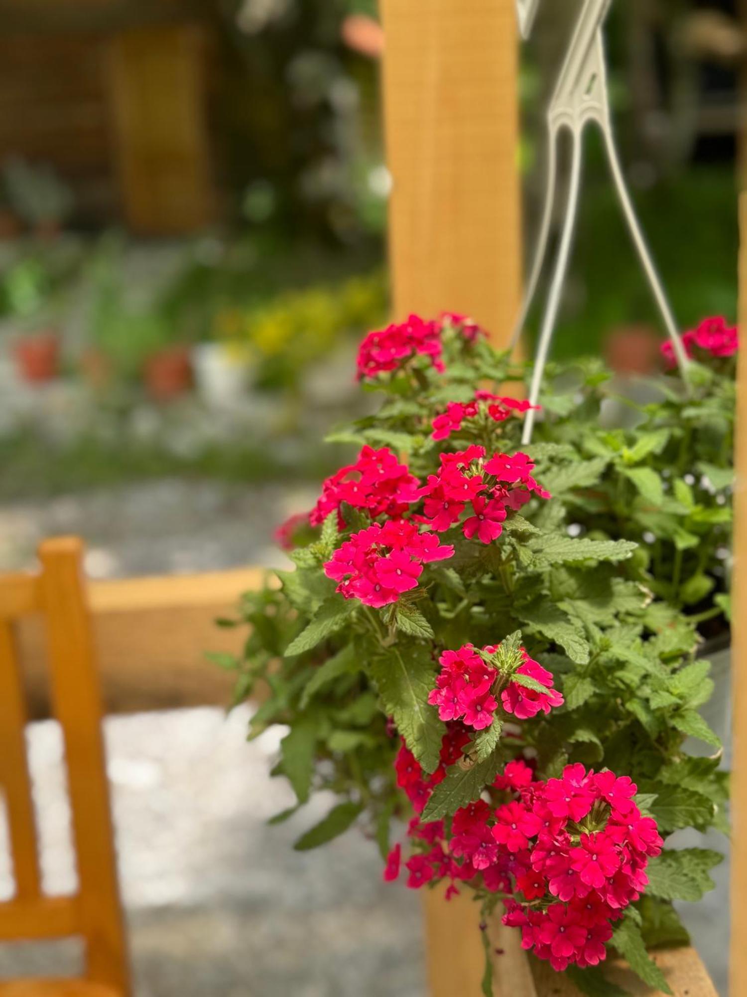 Guest House Hyrmet Demushi Valbone Exterior foto