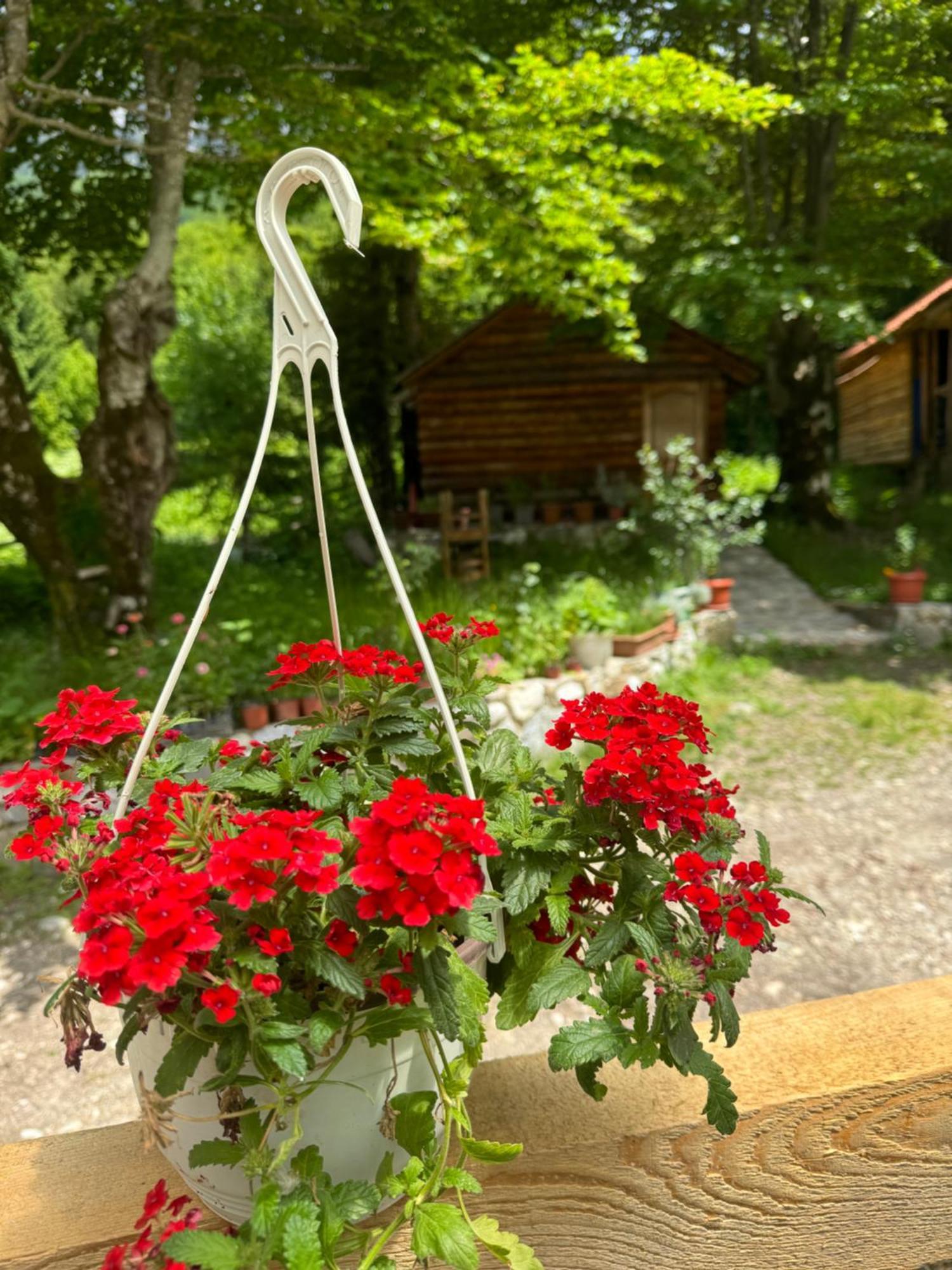 Guest House Hyrmet Demushi Valbone Exterior foto