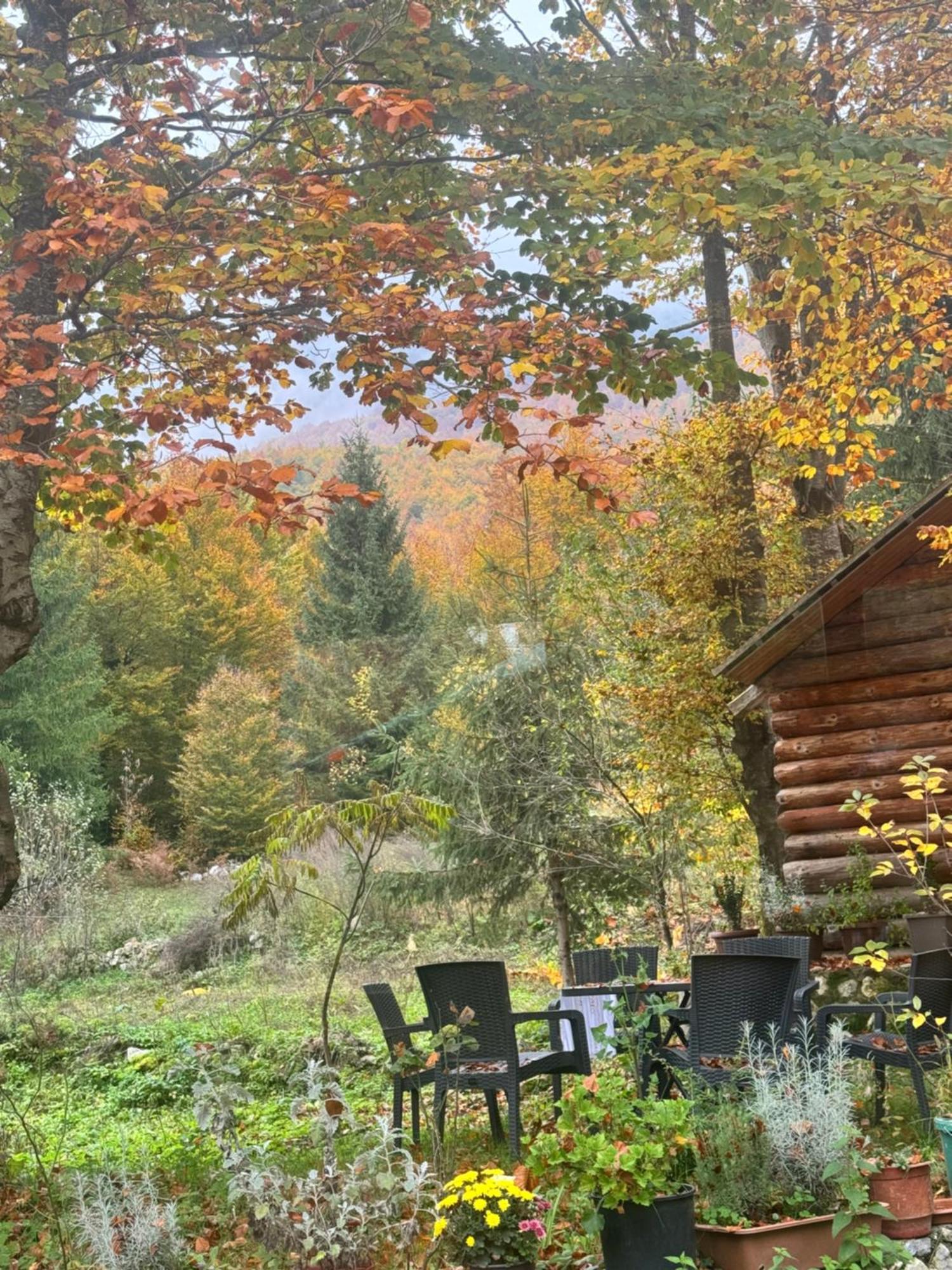 Guest House Hyrmet Demushi Valbone Exterior foto