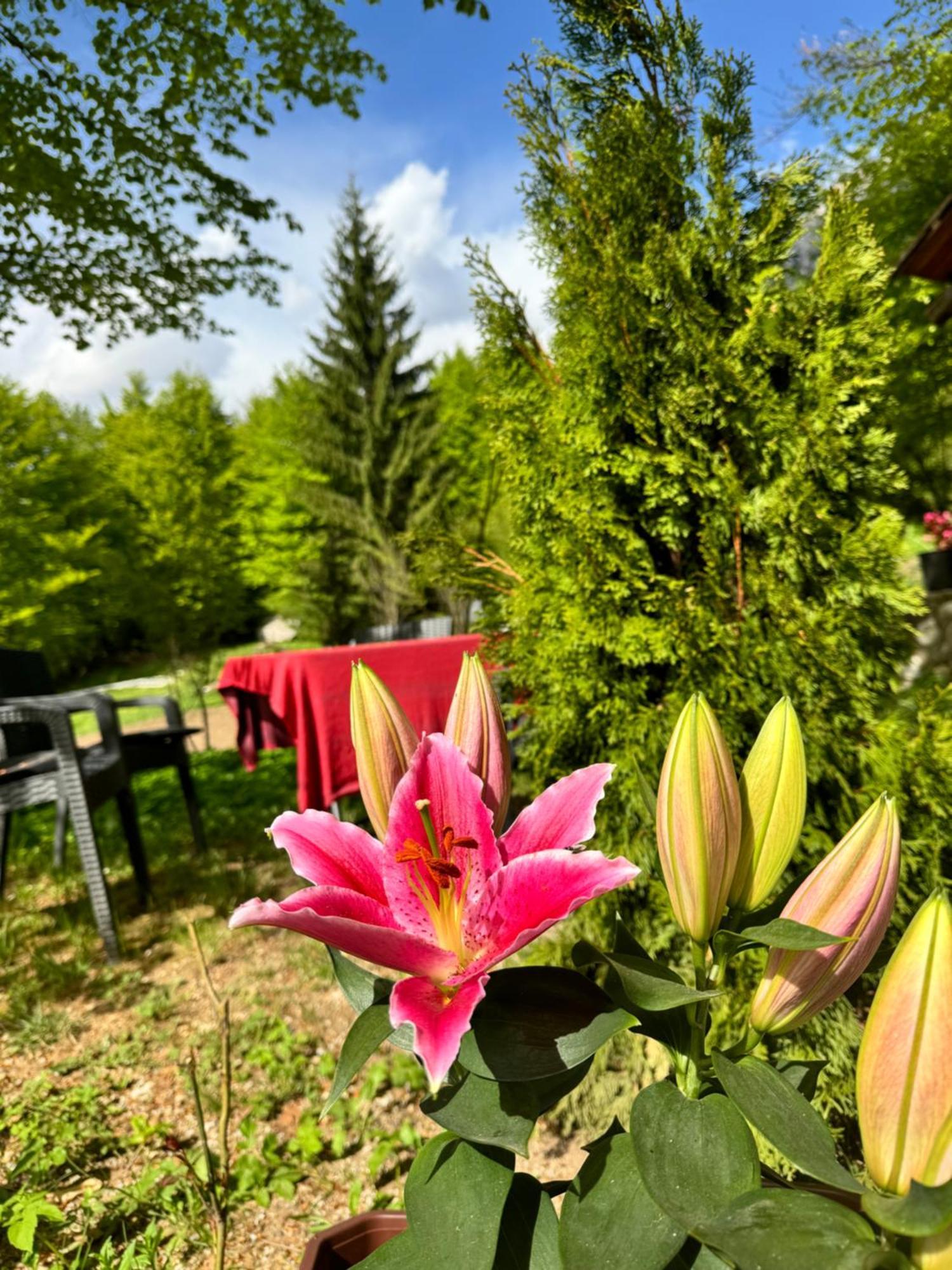 Guest House Hyrmet Demushi Valbone Exterior foto